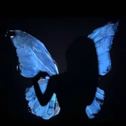 ♡ книжный шкаф ♡