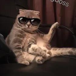 Котик Сэмик