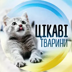 Цікаві тварини ☃️