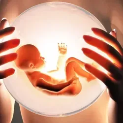 Материнство