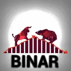 BINAR2020