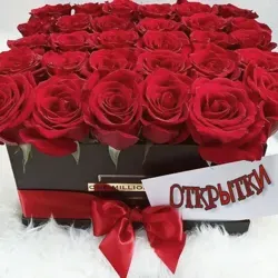 Открытки