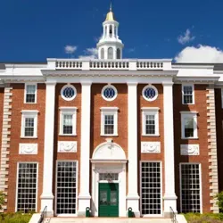 Sophisticated Speculations