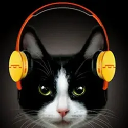 Музыкальный сомелье