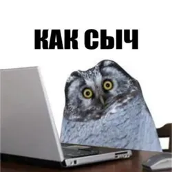 Сычевание и покемоны