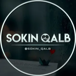 Sokin Qalb 💜