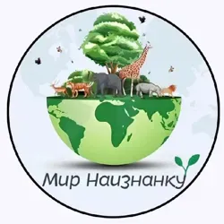 Мир Наизнанку🌱