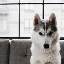 ᴡᴀsʜɪɴɢᴛᴏɴ ??