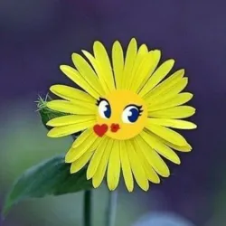 DIYDOR SHIRIN | ZAMZAMA GIF TABRIKLAR