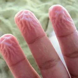 Мокрая, но чистая рука