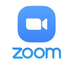 Сливы уроков ZOOM