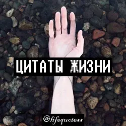 Ц и т а т ы | ж и з н и