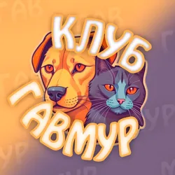 Клуб "ГавМур"