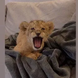 𝓜𝔂_𝓼𝓪𝓿𝓮𝓼🌸