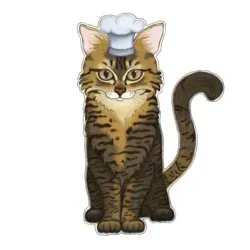 Суп с котом 🐱