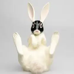 Привет, Зайчик.