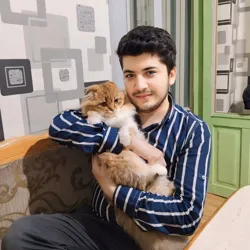 🐈‍⬛ Мушуклар бозори 🐾