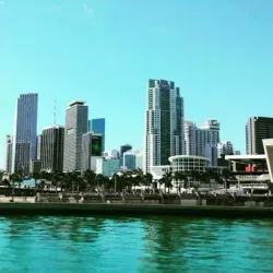 Прогресс на 💯