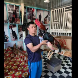 ТОЗАСИ ЮЗТАЛИК