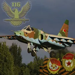 Штурмовик