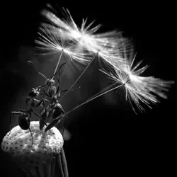 Это интересно