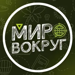 Мир вокруг