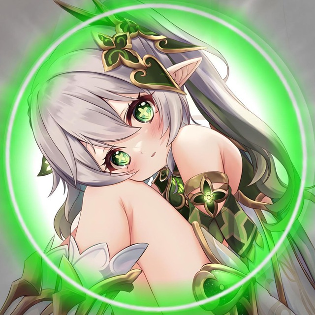 GENSHIN & HONKAI
