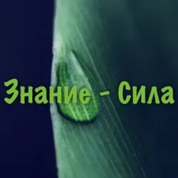 Знание - сила!