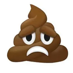 Торшинский сайт