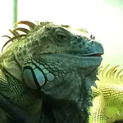 Эффект осознания