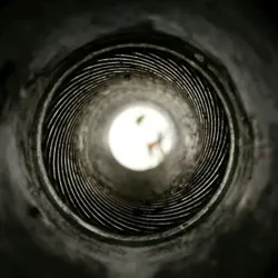 Оружие человечества