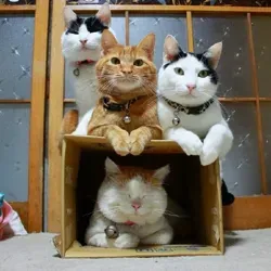 Заброшенный канал