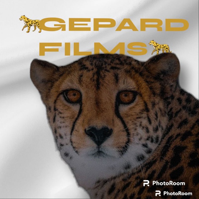 GEPARD FILMS 🐆🐾