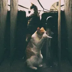 Внутри тебя