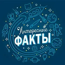 Интересные факты