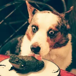 Сумрак категории Б