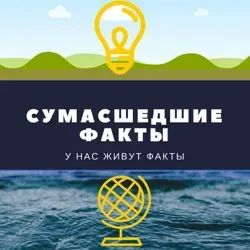 Сумасшедшие факты