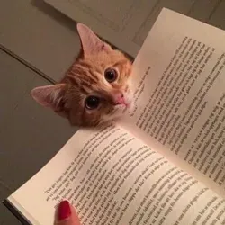 сам бы не прочёл