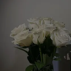 my heart..