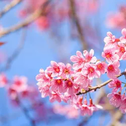 Естетика 🌸 🦋 🌄 | Красиві картинки та фото - заставки та шпалери