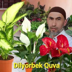 Dilyorbek Quva Gullari