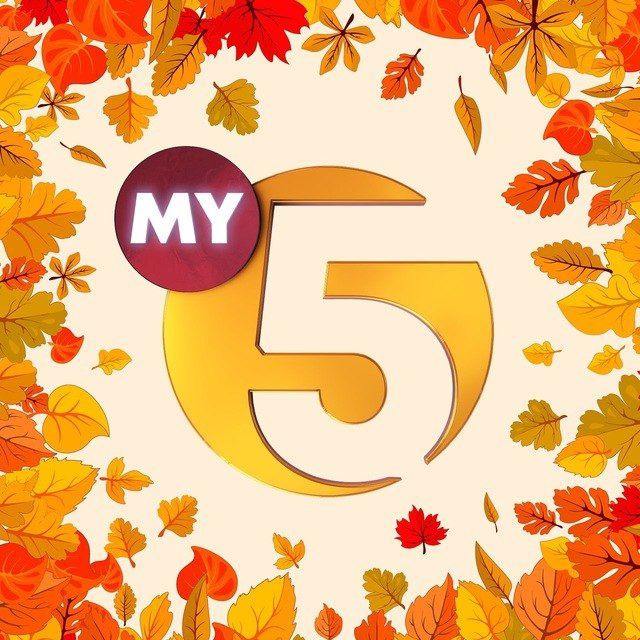 MENING YURTIM 5 TV | MY5TV