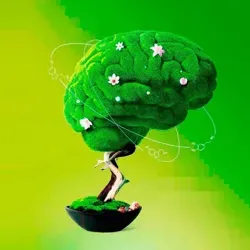 Фитнес для ума