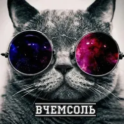 ВЧемСоль