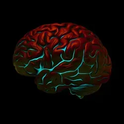 Ритейл головного мозга