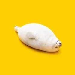 ГДЕ МОЙ ИНГАЛЯТОР?