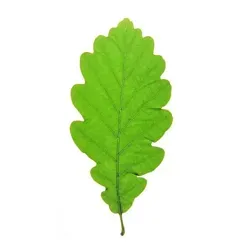 Всё не то, чем кажется