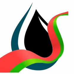 ДРУЖБА Гомельтранснефть