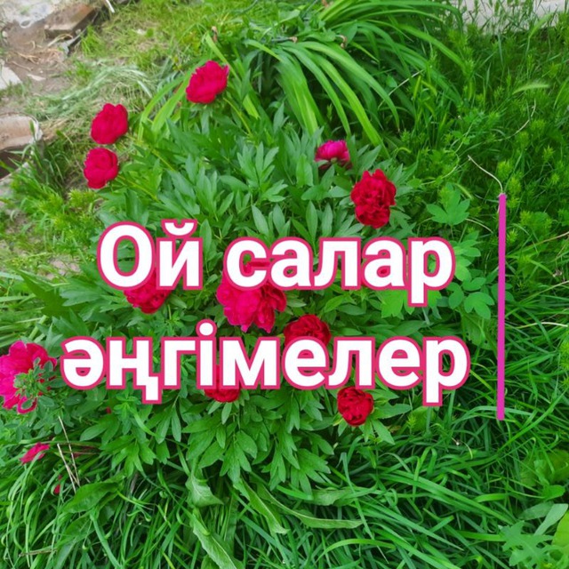 Ой салар әңгімелер!!!