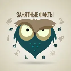 Занятные факты